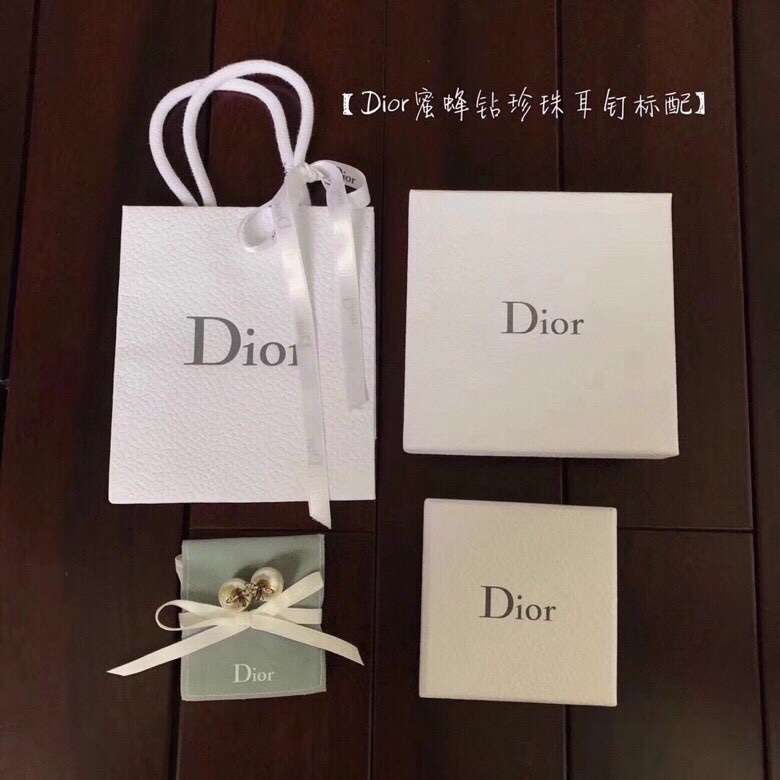 Christian Dior Earrings